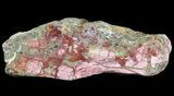 Polished Brecciated Pink Opal - Western Australia #64785-1